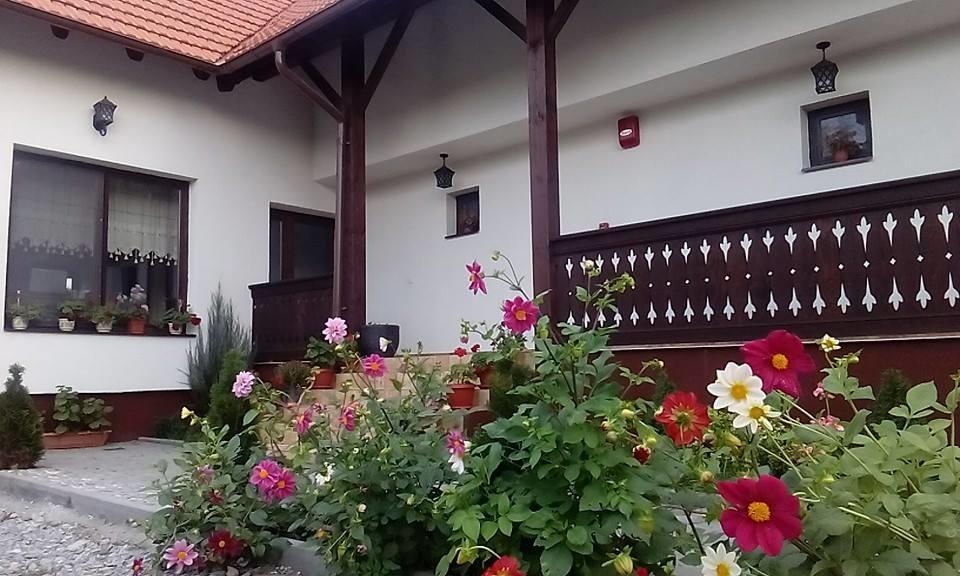 فندق Băile Felixفي  Casa Cu Pridvor المظهر الخارجي الصورة